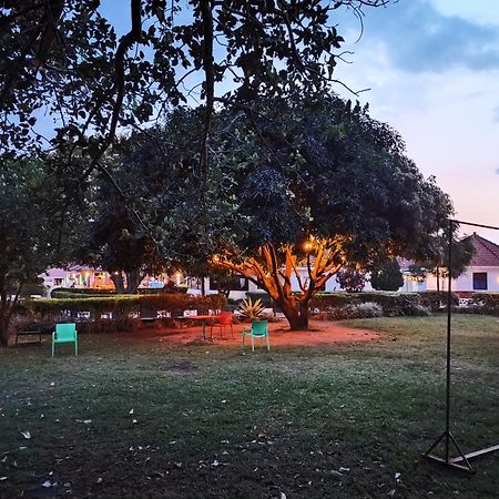 Northern Pearl Gulu Dış mekan fotoğraf
